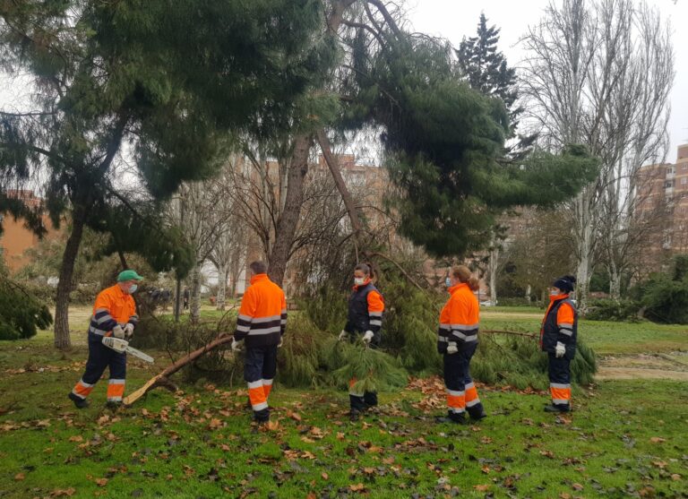 El Ayuntamiento de Leganés contrata 111 parados de larga duración por 6 meses
