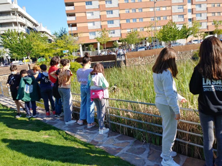 El Ayuntamiento instala papeleras y un nuevo sanecan en el lago de Vereda
