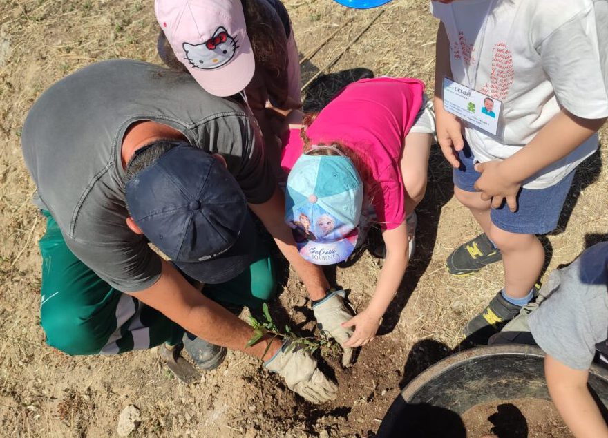 plnatacion en leganes