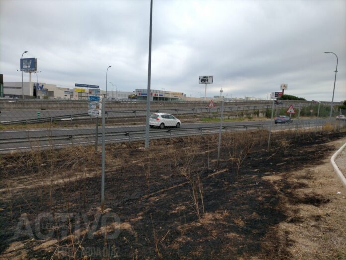 pastos poligono ciudad del automovil