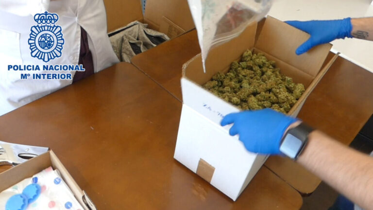Incautan 82 kg de marihuana envasadas al vacío en cojines enviados desde Leganés