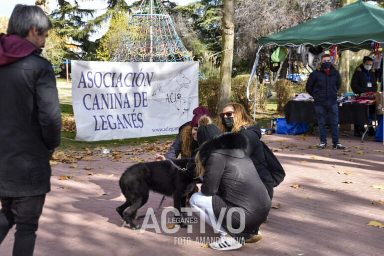 La Asociación Canina recuerda los peligros de los petardos en los animales
