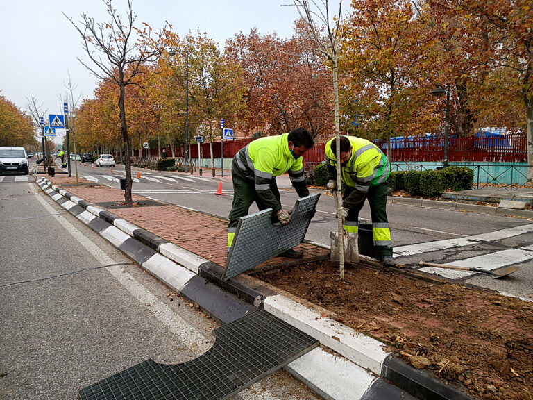 Leganés repondrá 2.500 árboles urbanos este 2021