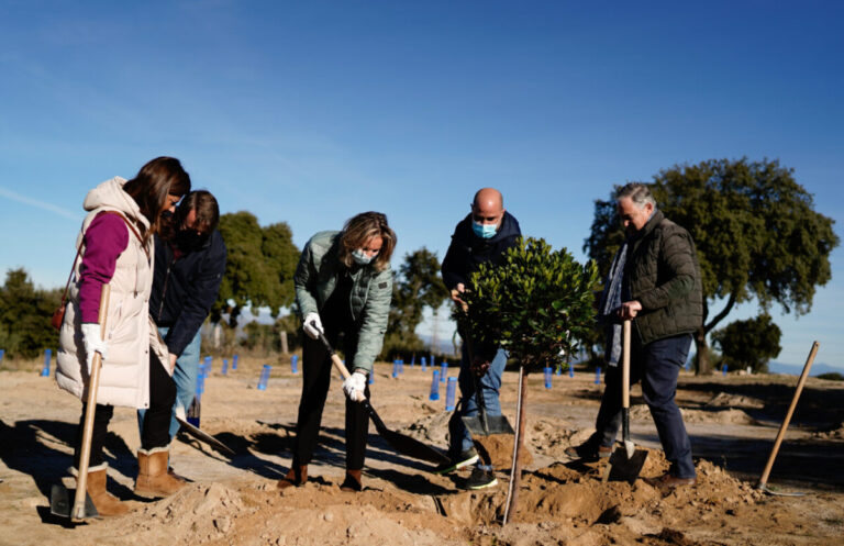 Madrid supera los 72.000 árboles y arbustos plantados en Arco Verde