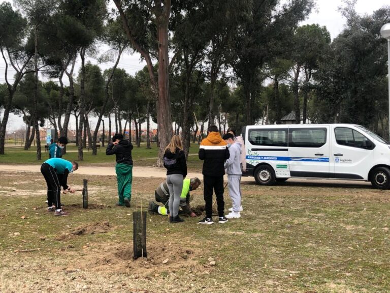 Estudiantes del IES Tierno Galván colaboran en la replantación de parque de Los Frailes