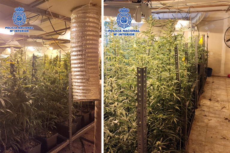 Desmantelada una plantación indoor con 83kg de marihuana