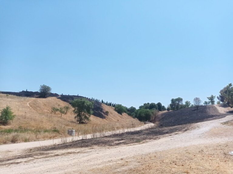 Un incendio calcina los alrededores del cementerio de Leganés