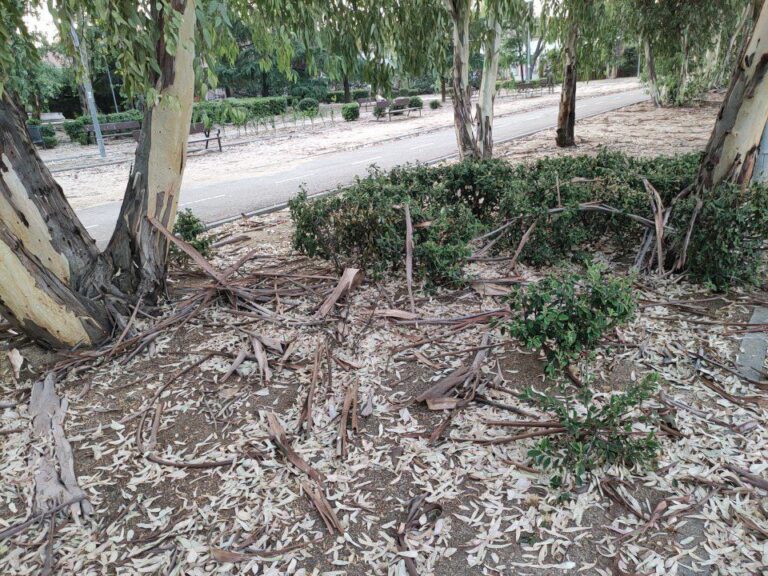 El concejal de Medioambiente ironiza con el estado del parque de Los Frailes