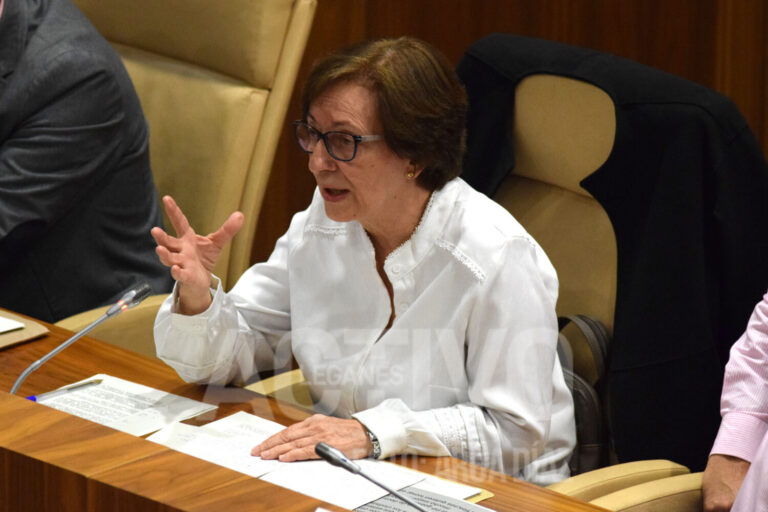 El Pleno de Leganés rechaza rebajar las tasas municipales