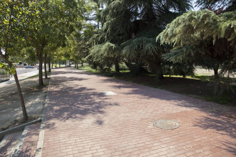 Cierran los parques de Leganés por los fuertes vientos