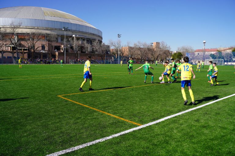 Terminado un campo de fútbol de la I.D. Julián Montero