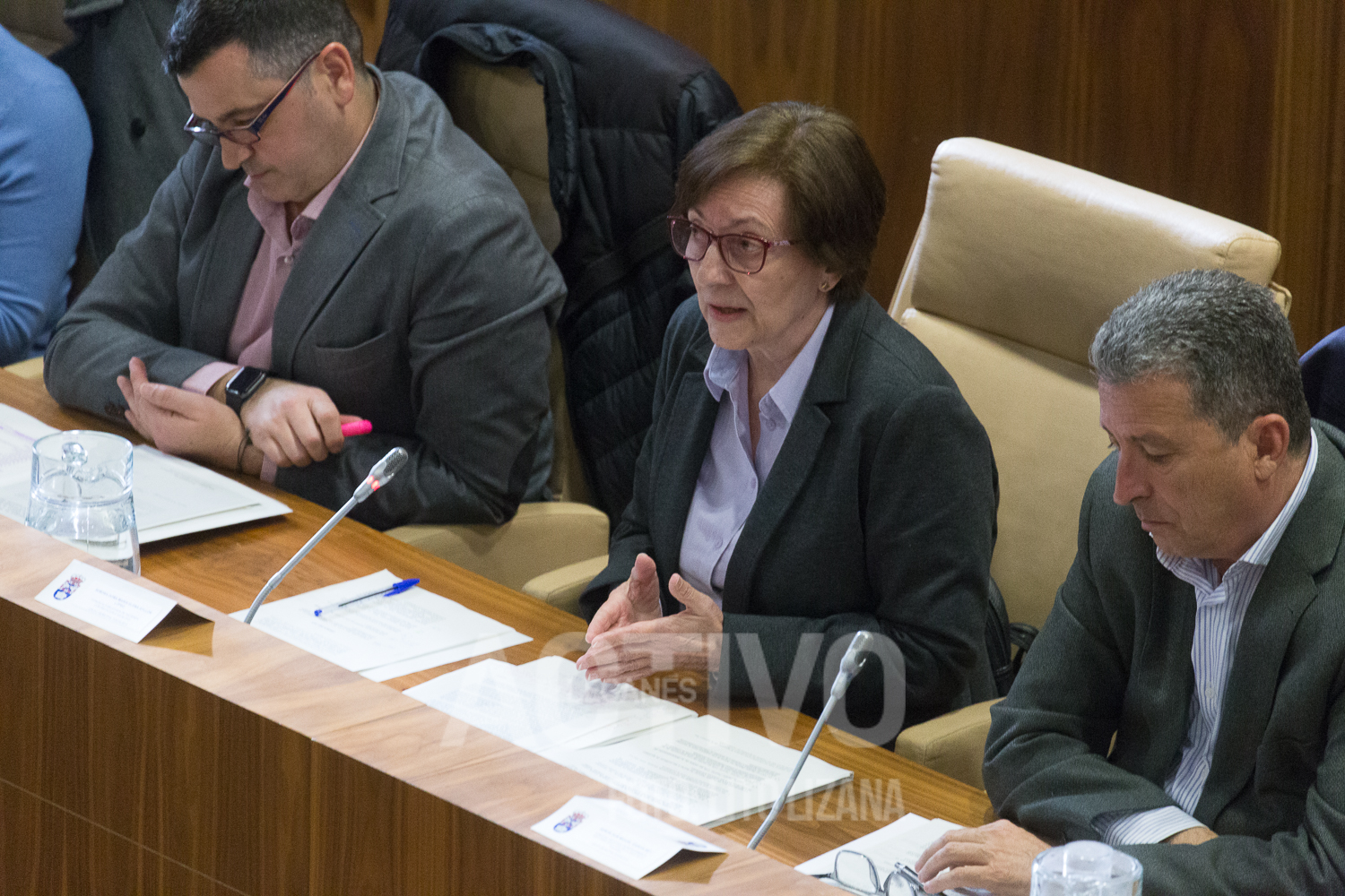 elena ayllon pleno