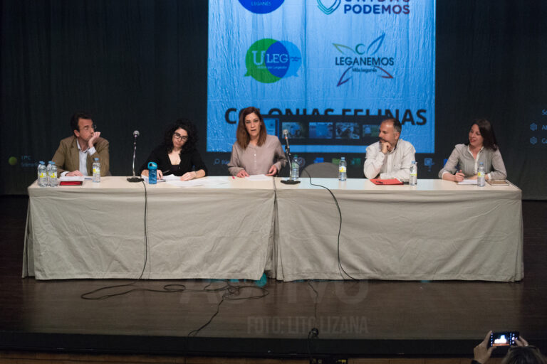 Las colonias de gatos protagonizan el primer debate electoral de Leganés