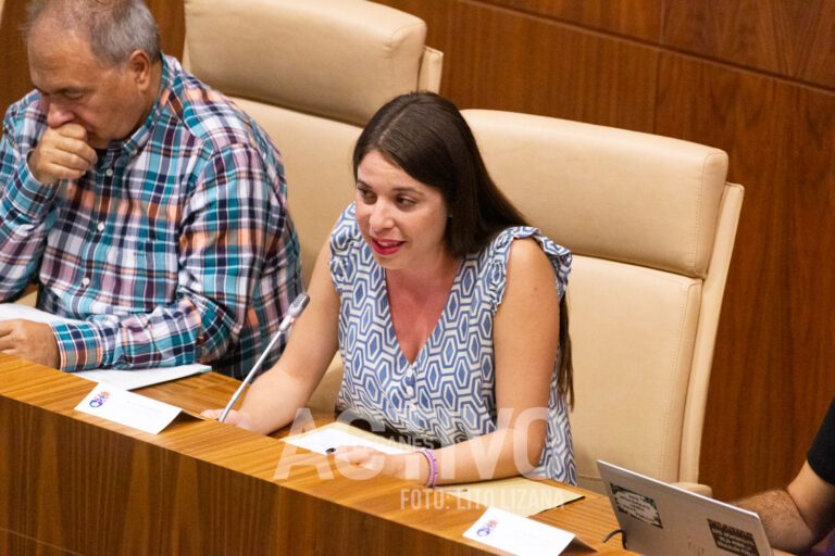 Podemos-AV-IU Leganés reclaman crear un parque de vivienda de alquiler con tope de 400 €