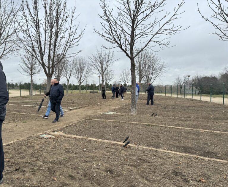 El Ayuntamiento de Leganés entrega 65 huertos urbanos