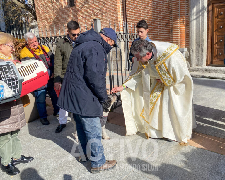 Las mascotas de Leganés se bendicen por San Antón: te lo contamos en imágenes