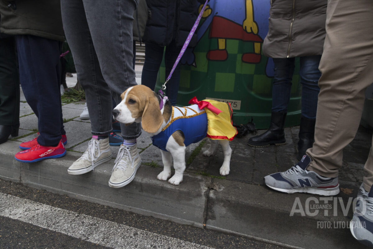 carnaval 2024 leganés