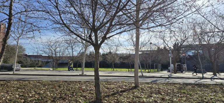 Arroyo Culebro denuncia un ‘arboricidio’ por la electrolinera de Leganés