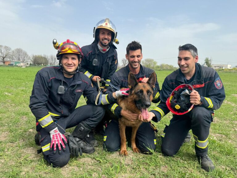 Complicado rescate de un perro en un pozo de Leganés