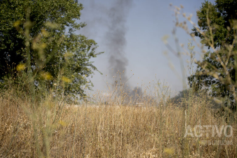 Un incendio de pastos alerta a los conductores de la M45 en Leganés