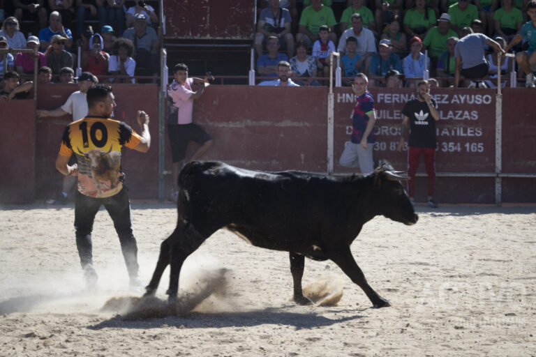 PSOE Leganés denuncia ante Policía Nacional una «carnicería» pública tras la suelta de vaquillas