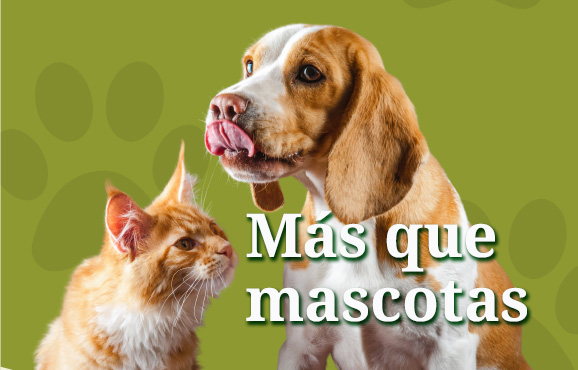 Jornadas informativas sobre adopción animal en Leganés