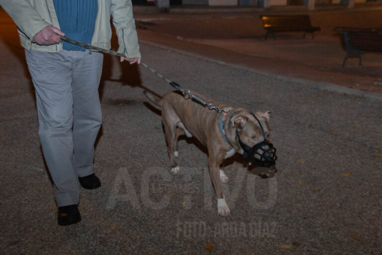Los dueños de los perros de Leganés se manifiestan contra el «acoso» de la Policía