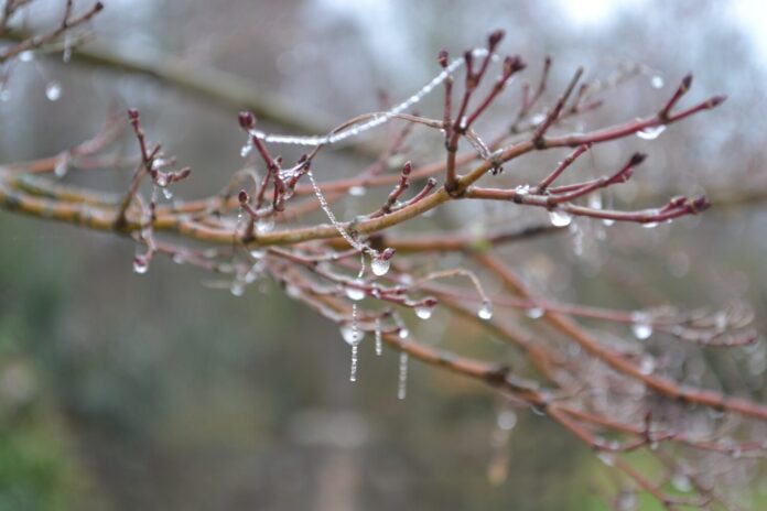 hielo naturaleza