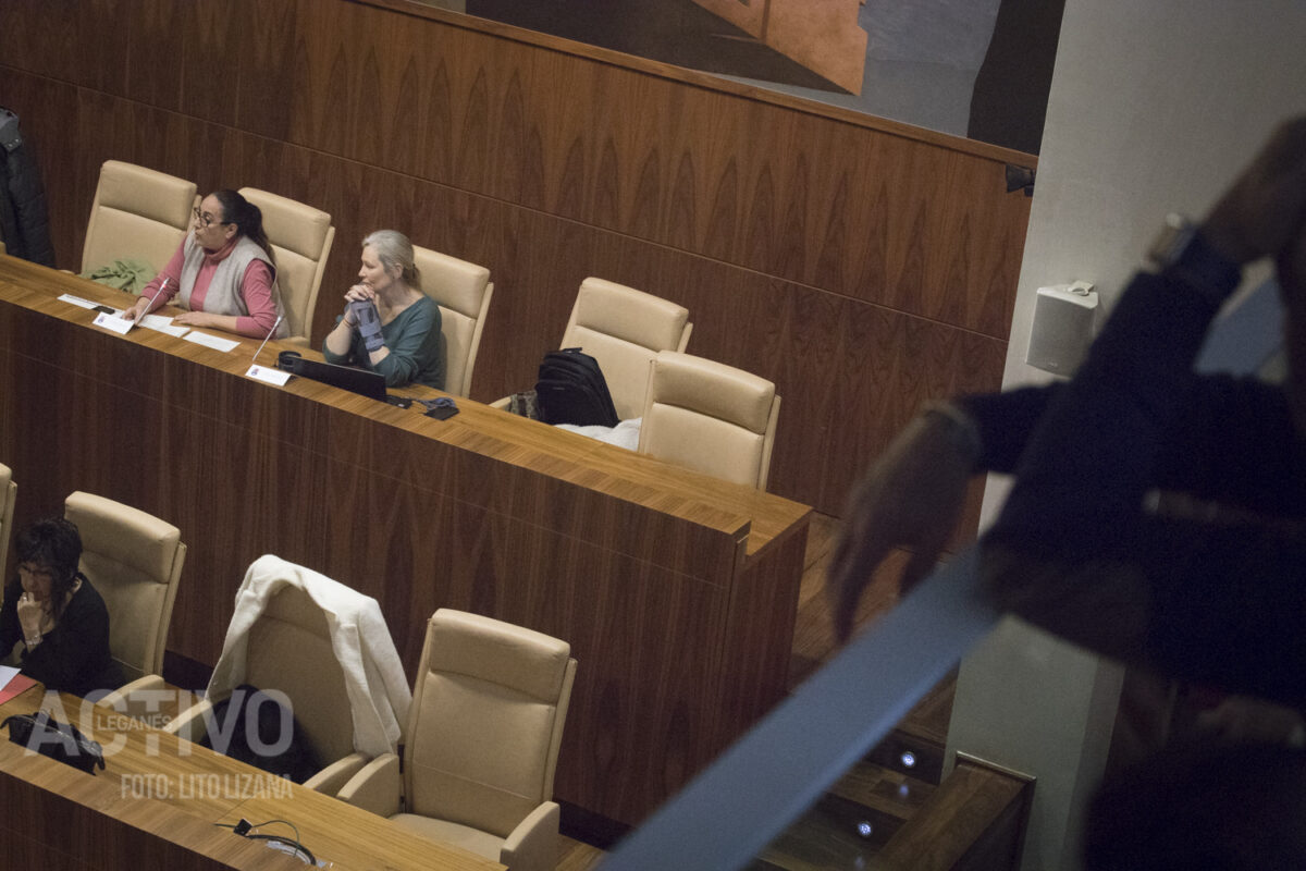 pleno extraordonario presupuesto leganes beatriz tejero leganes vox