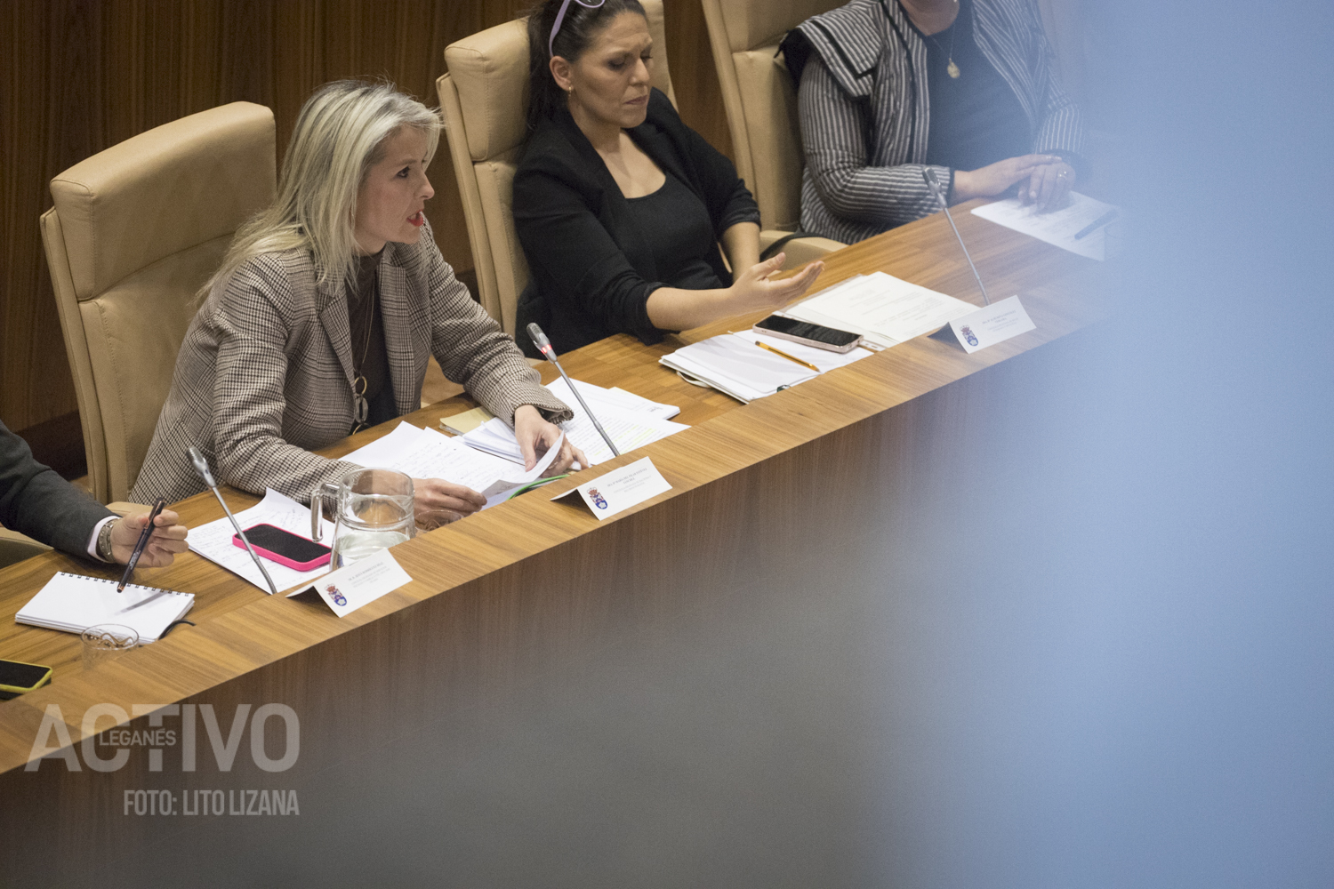 presupuestos pleno pilar estevez