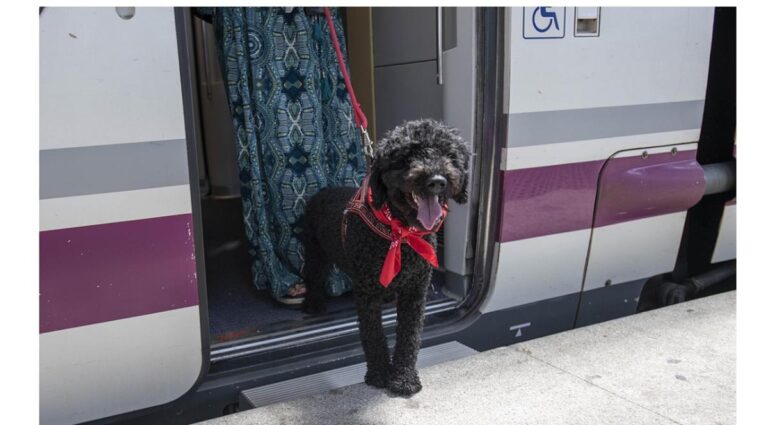 RENFE amplía las líneas de larga distancia en las que permite mascotas