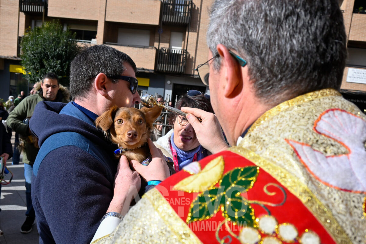 san anton 2025 en leganes