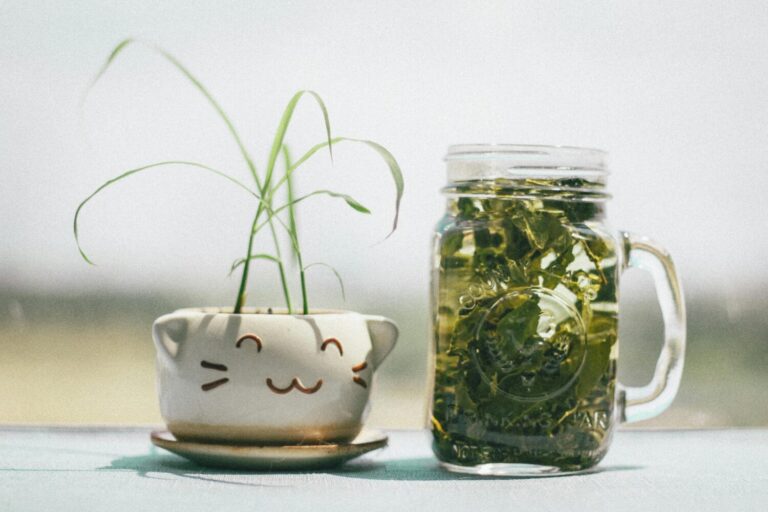 Plan détox de primavera: los expertos nos enseñan a preparar nuestro cuerpo