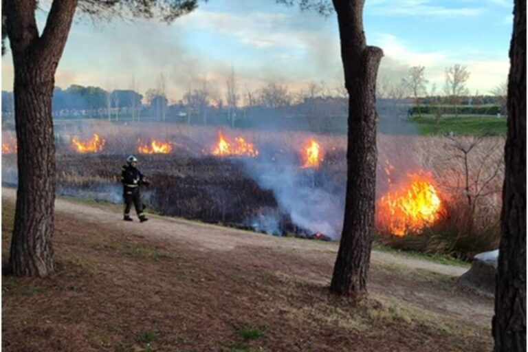 Extinguido un incendio en el Parque Lineal Butarque de Leganés