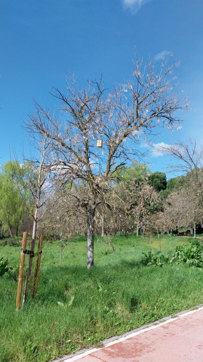 arroyo butarque leganes