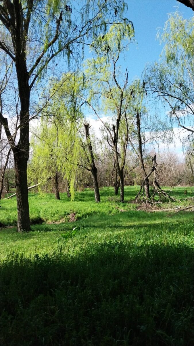 arroyo butarque leganes