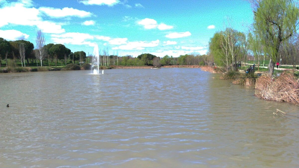 arroyo butarque leganes