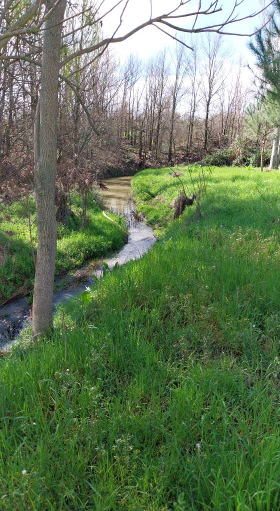 arroyo butarque leganes
