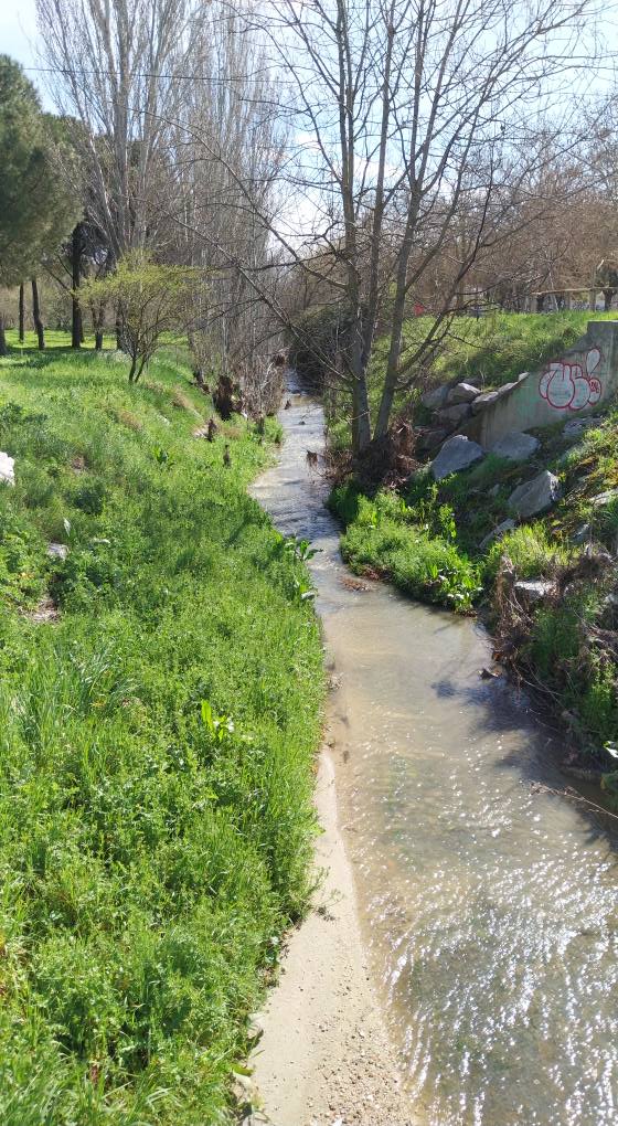 arroyo butarque leganes