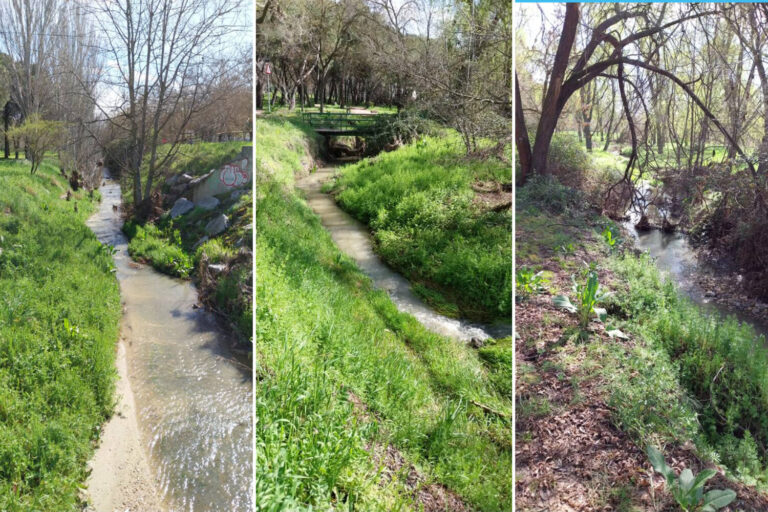 Arroyo Butarque: de la sequía a la vida, un símbolo natural de Leganés tras las lluvias