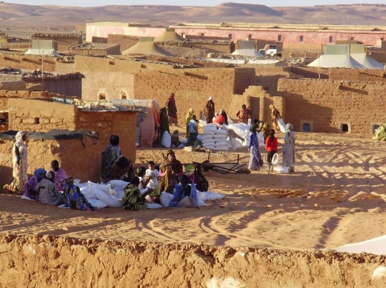 Leganés se moviliza por el Sáhara: Recogida solidaria para los campamentos saharauis