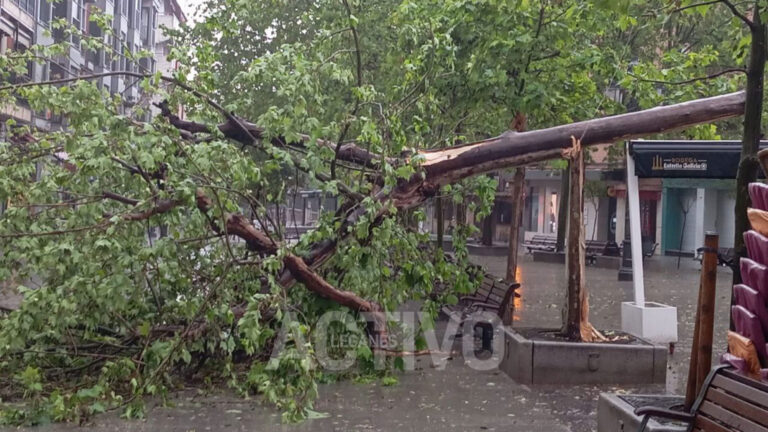 Una tormenta eléctrica sacude Leganés y derriba árboles en plena Plaza de España