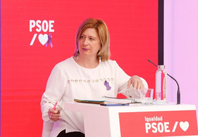 leire diez fontanera psoe