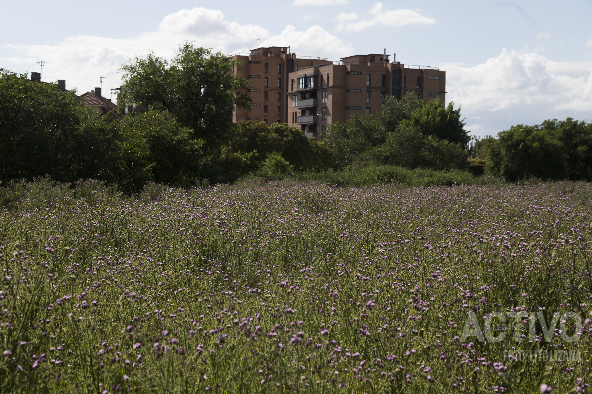 parcela polideportivo leganes norte