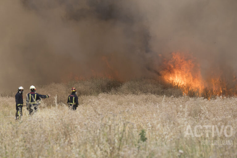 Gran incendio de pastos en Leganés: helicópteros y bomberos sofocan las llamas
