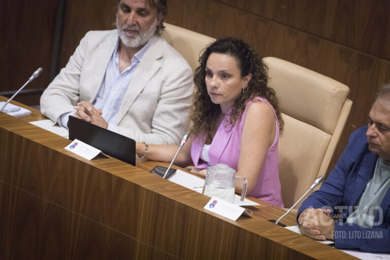 Choque entre Más Madrid y la FLAV: «Nadie los ha elegido, que se presenten a las elecciones»