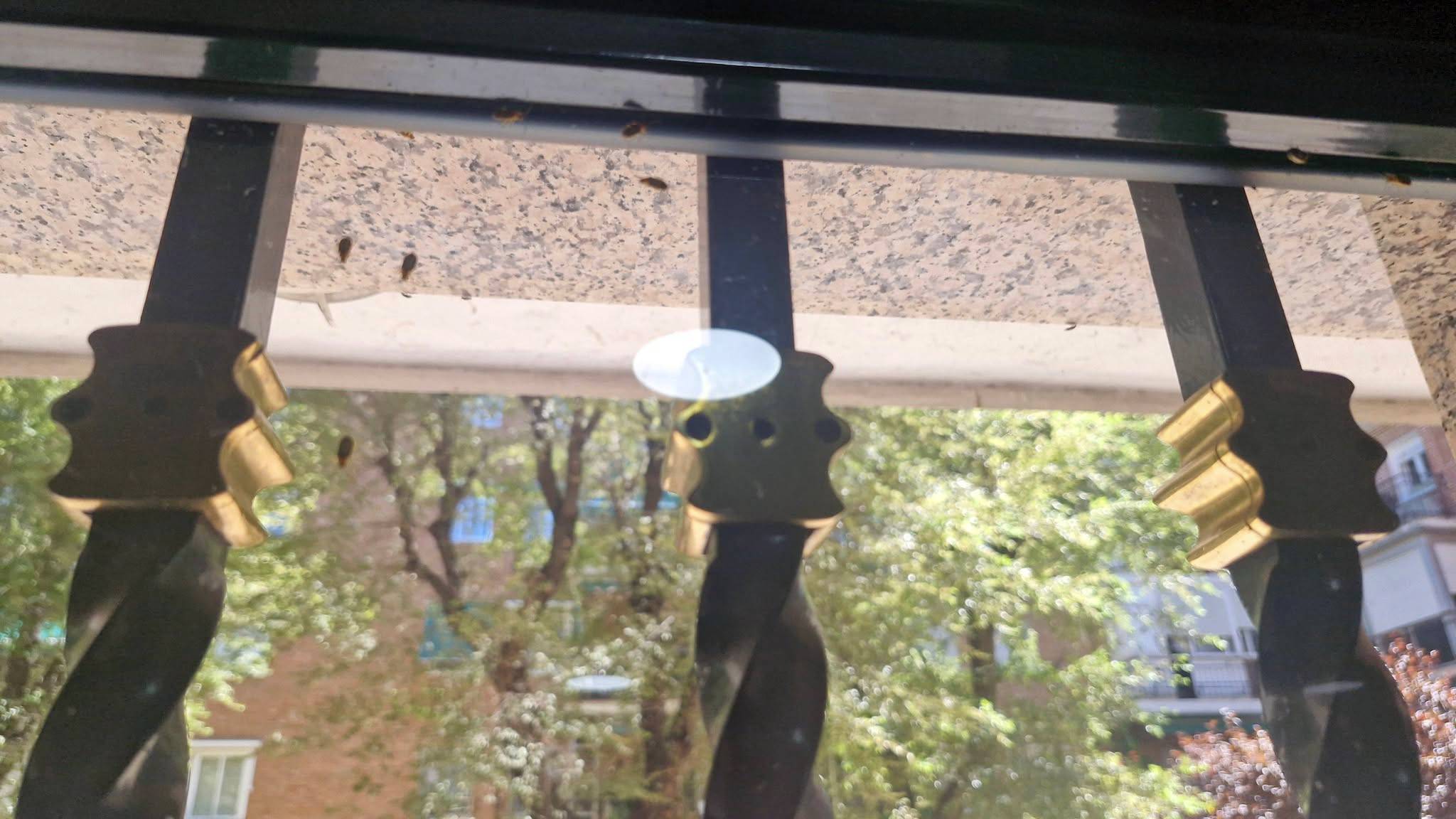 plaga bichos vivienda leganes