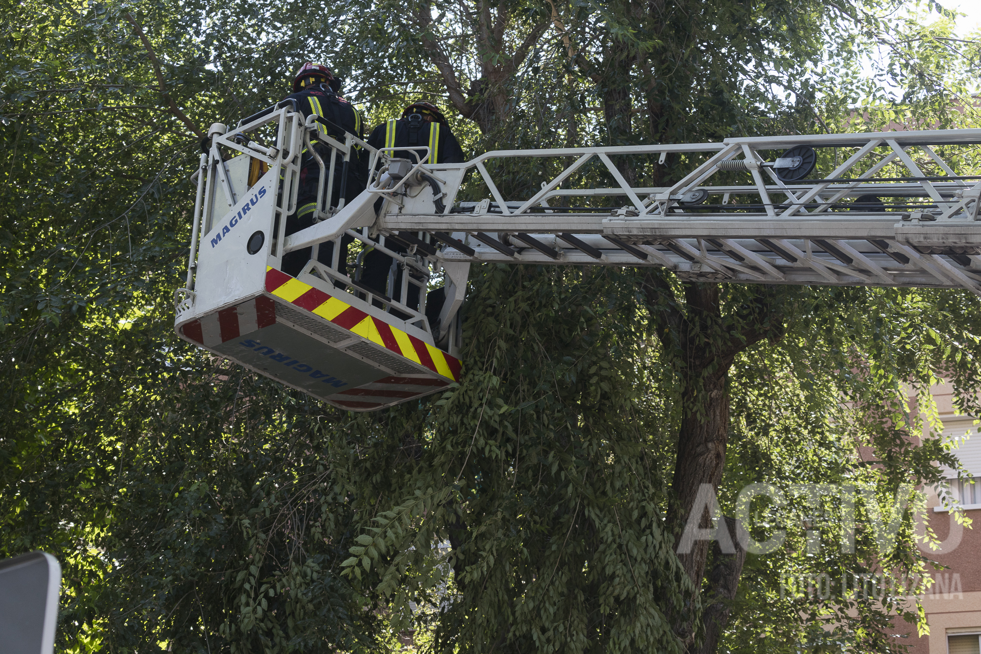 bomberos comunidad de madrid rama centro