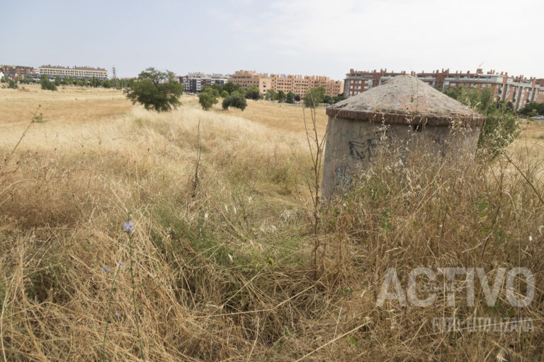 Guerra política en Leganés por el plan de desbroce: PSOE exige más acción, PP defiende su gestión