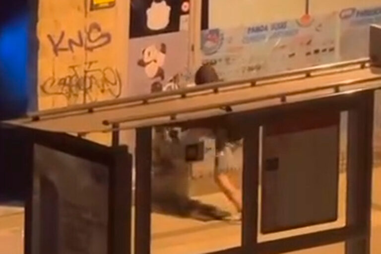 Detenido in fraganti un español por el robo en un restaurante en Leganés Norte